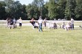 Trophee Espoir